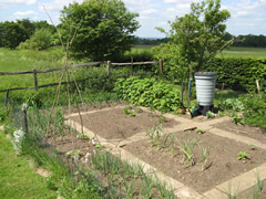 The Vegetable garden in May